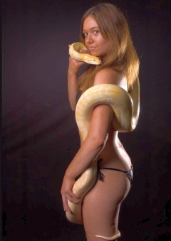 Snakey Girls - N