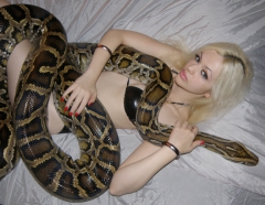 Snakey Girls - N