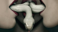Snakey Girls - N