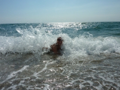 santa cruz calif. 2016 great day jayne - N