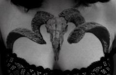 Porkodio e puttanamadonna - Porkgod and slutmotherofgod - N