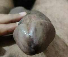 Pusy - N