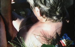 christine01 gangbang am birkensee - N