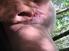 april in the woods - N