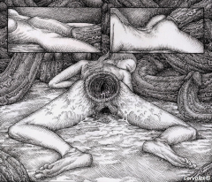 anal hole - N