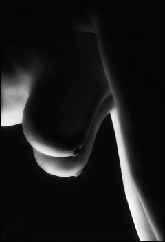 The eroticism of the body - N