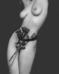Eroticism of the body - N
