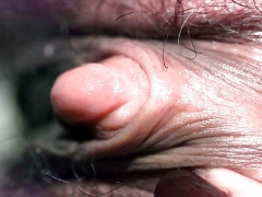 Clit Panorama - N