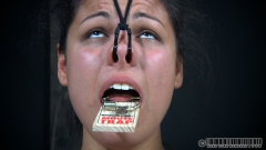 Mouth Lord - N