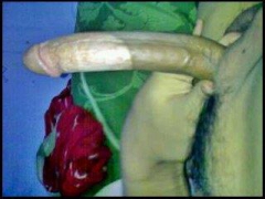 my dick - N