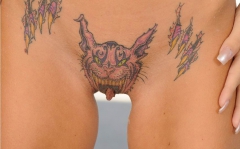 Pussy Decoration - N