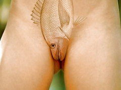 Pussy Decoration - N