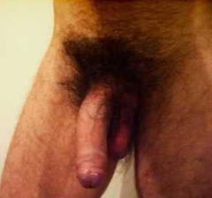 my cock 2 - N