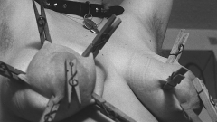  Mari bdsm album 2 - N