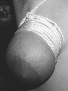  Mari bdsm album 2 - N