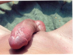 boy wanking ii - N