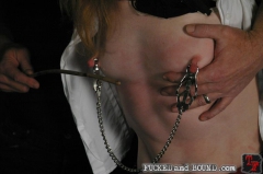 Titties Alert - N