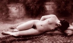 Antique Solo Chicks - N