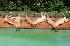 Tanned Twat 3 - N