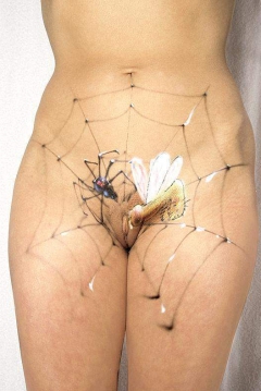 Body To Paint 2 - N