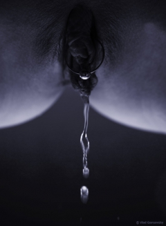 Art in Grey 1 - N