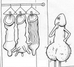 Funny And Hot Drawings 4 - N