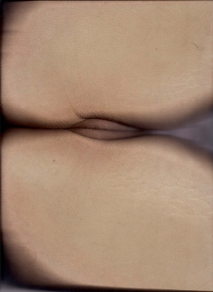 Close Up Collection 10 - N