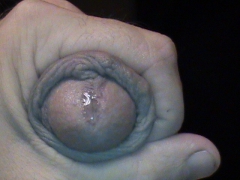MY COCK AND CUM - N