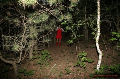 Little Red Riding Hood, - N