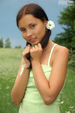 Unbelievable Angel with Chamomiles - N