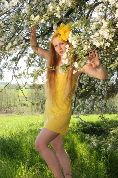 Startling Teen in Yellow - N