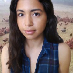 MaiaLai`s avatar