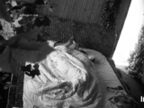 Horny fat arab housewife fingered on amateur hidden cam