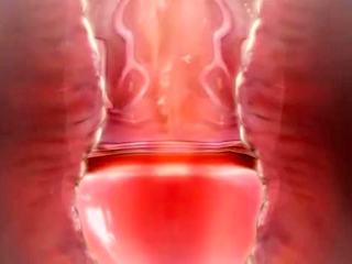 Tousyu LIVE A HERO sex