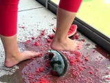 crush pov