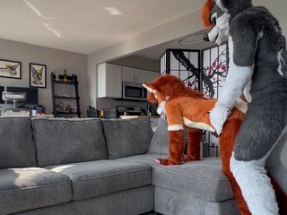 Brunette love hardcore doggystyle sex